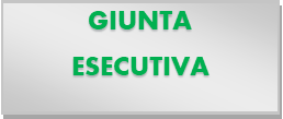giunta esecutiva 