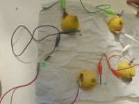 lemon_battery_1