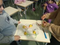 lemon_battery_3