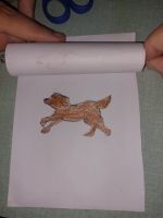 Flip_book_con_due_pagine_4